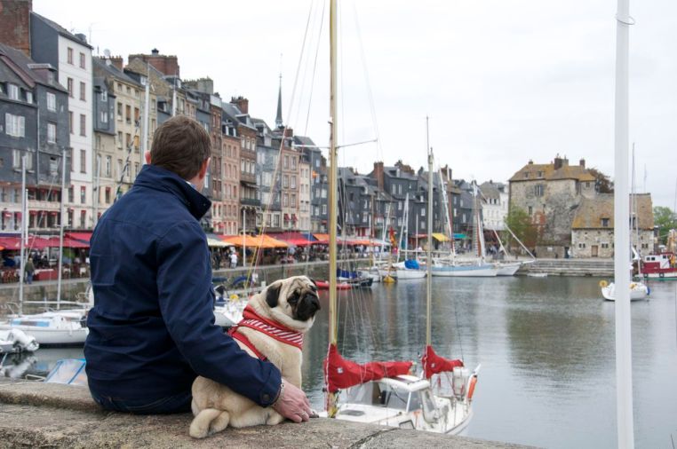 Taking In The Bay At Honfleur